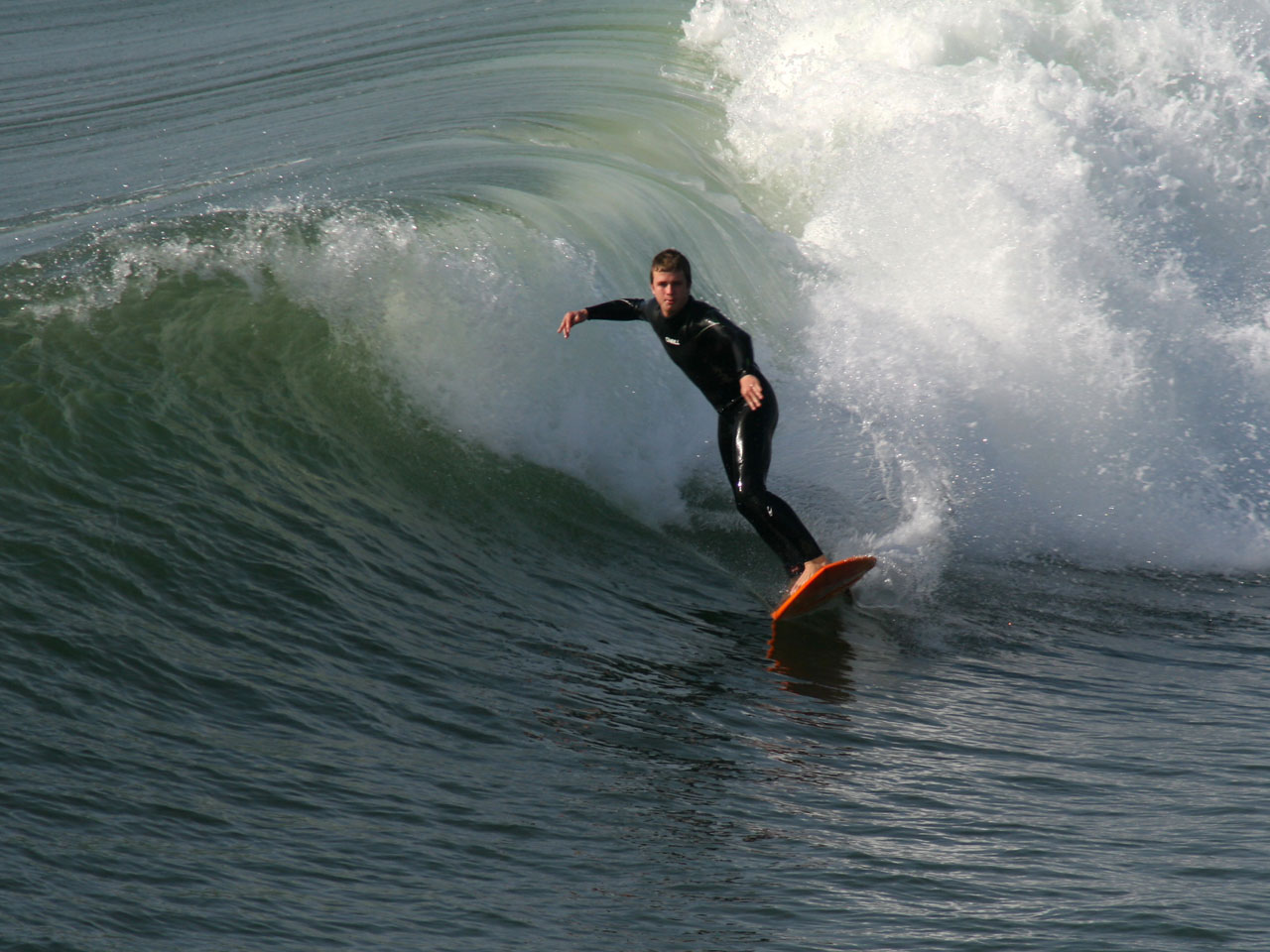 Surfer Free Stock Photo - Public Domain Pictures