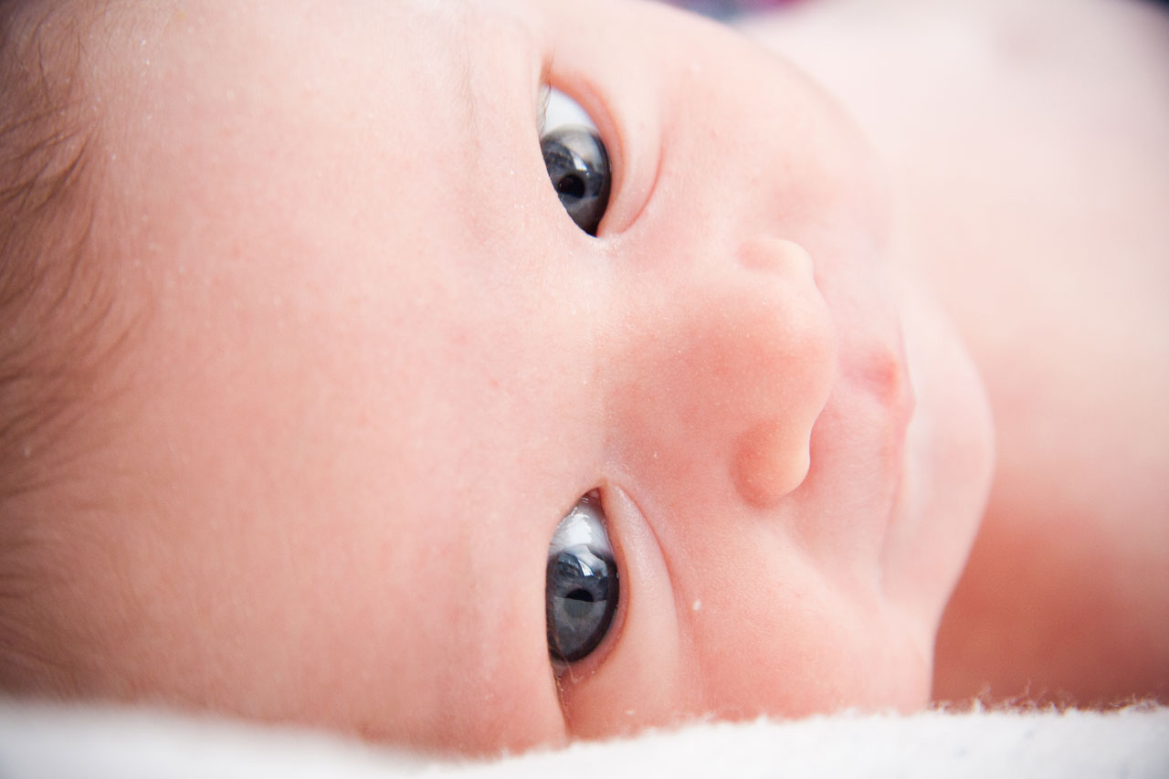 Free Images : hand, photography, petal, leg, finger, child, baby, mouth, close up, dad, infant ...
