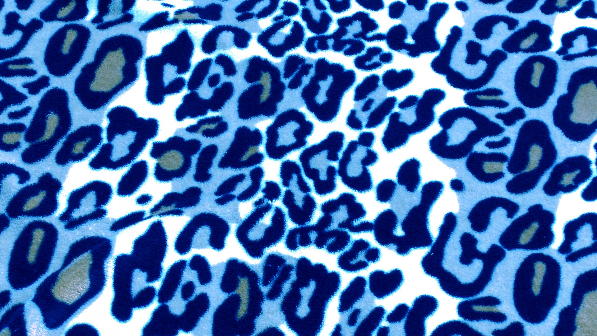 Blue Leopard Skin Background Free Stock Photo - Public Domain Pictures