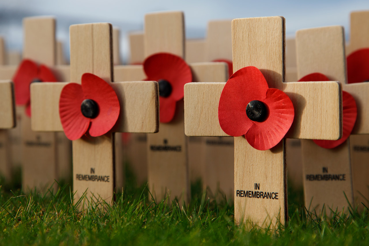 Remembrance Day Free Worksheets