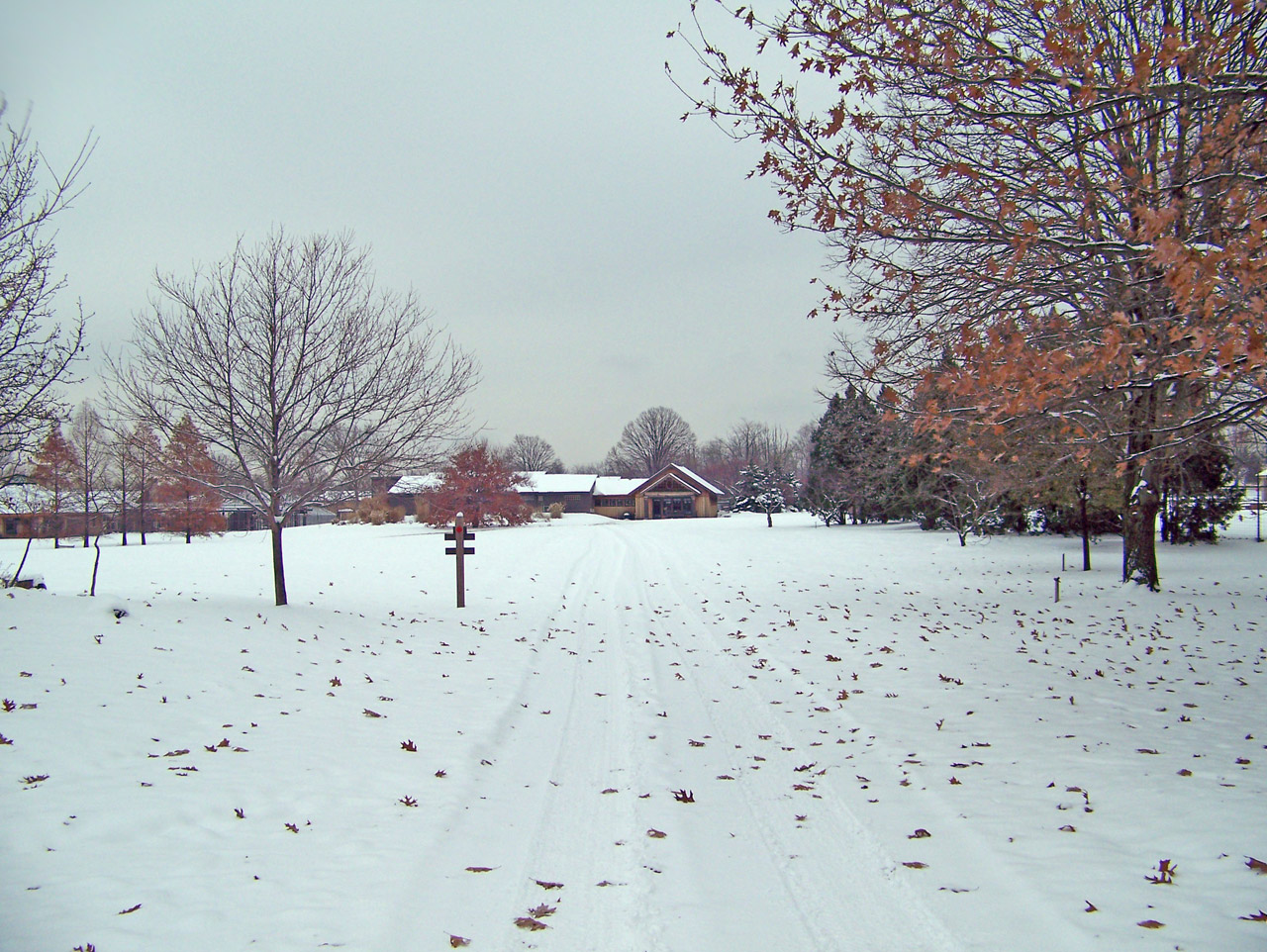 Snowy Day Free Stock Photo - Public Domain Pictures