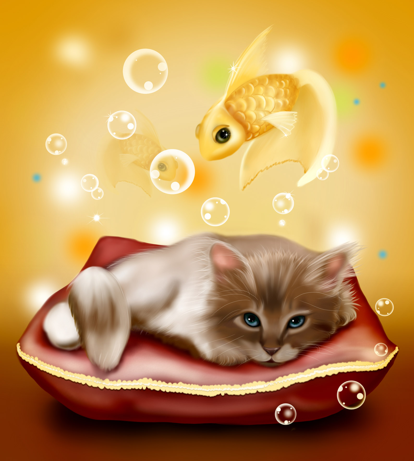 Dream Kitten Free Stock Photo - Public Domain Pictures