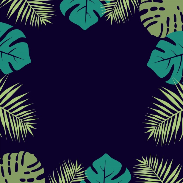 Tropical Leaves Border Frame Free Stock Photo Public Domain Pictures