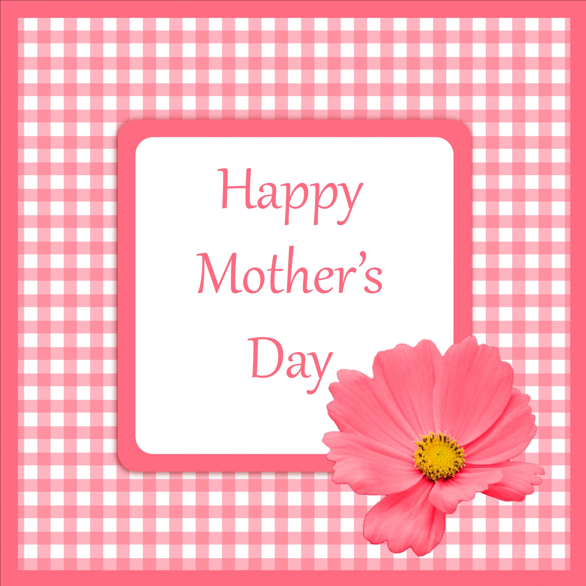 Mother's Day Card Pink Free Stock Photo Public Domain Pictures