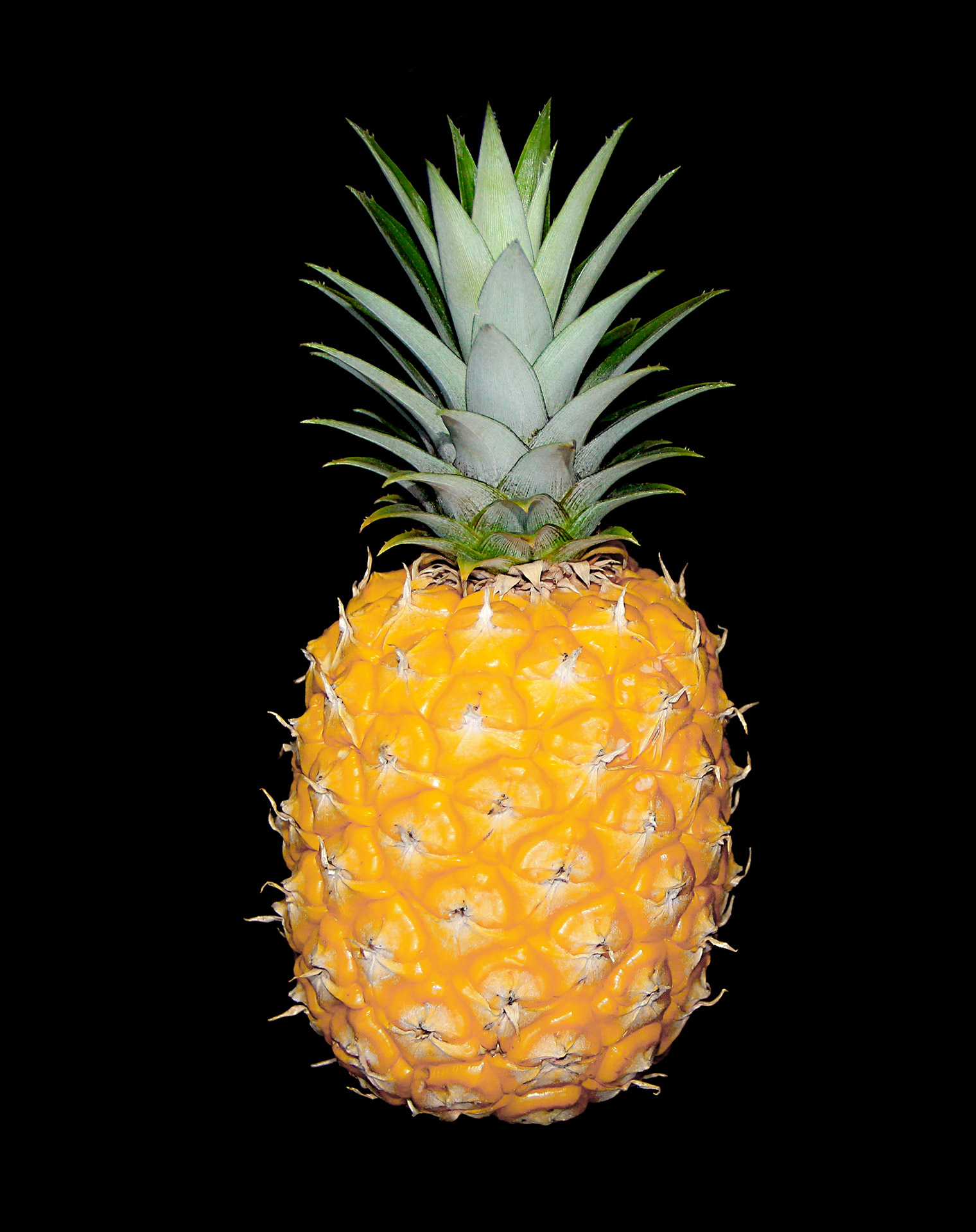 Pineapple On Black Free Stock Photo - Public Domain Pictures