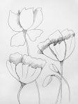 Flowers, Spring, Sketch, Line