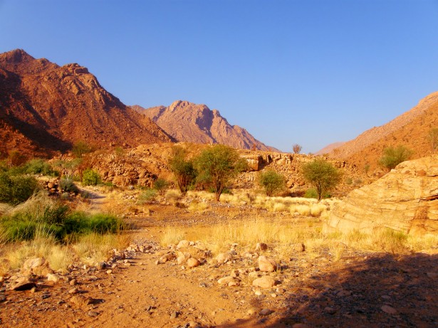rocky-desert-landscape.jpg