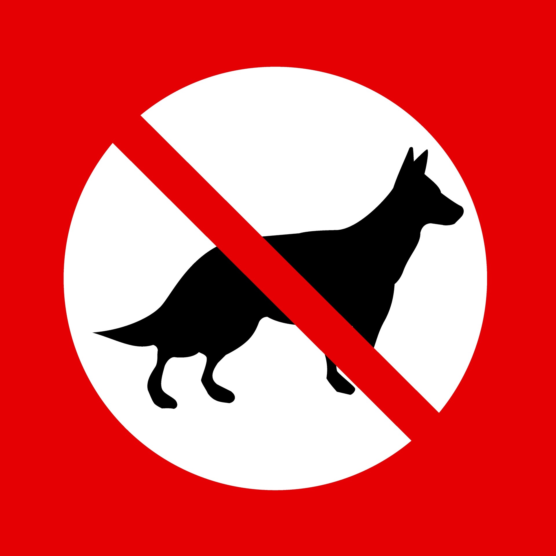 no-dogs-sign-free-stock-photo-public-domain-pictures