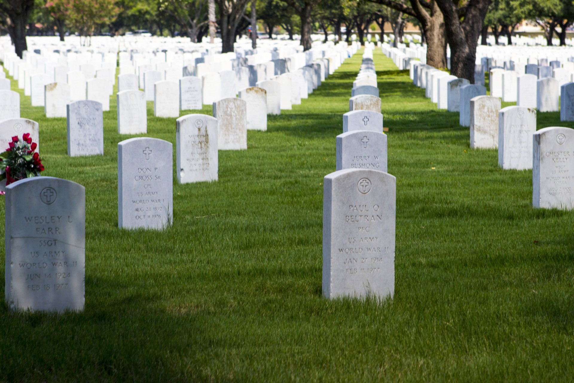 RIP Graves Free Stock Photo - Public Domain Pictures