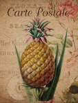 Vintage Floral Pineapple Postcard