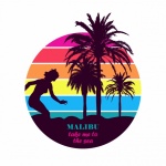 Malibu Beach Sunset Poster