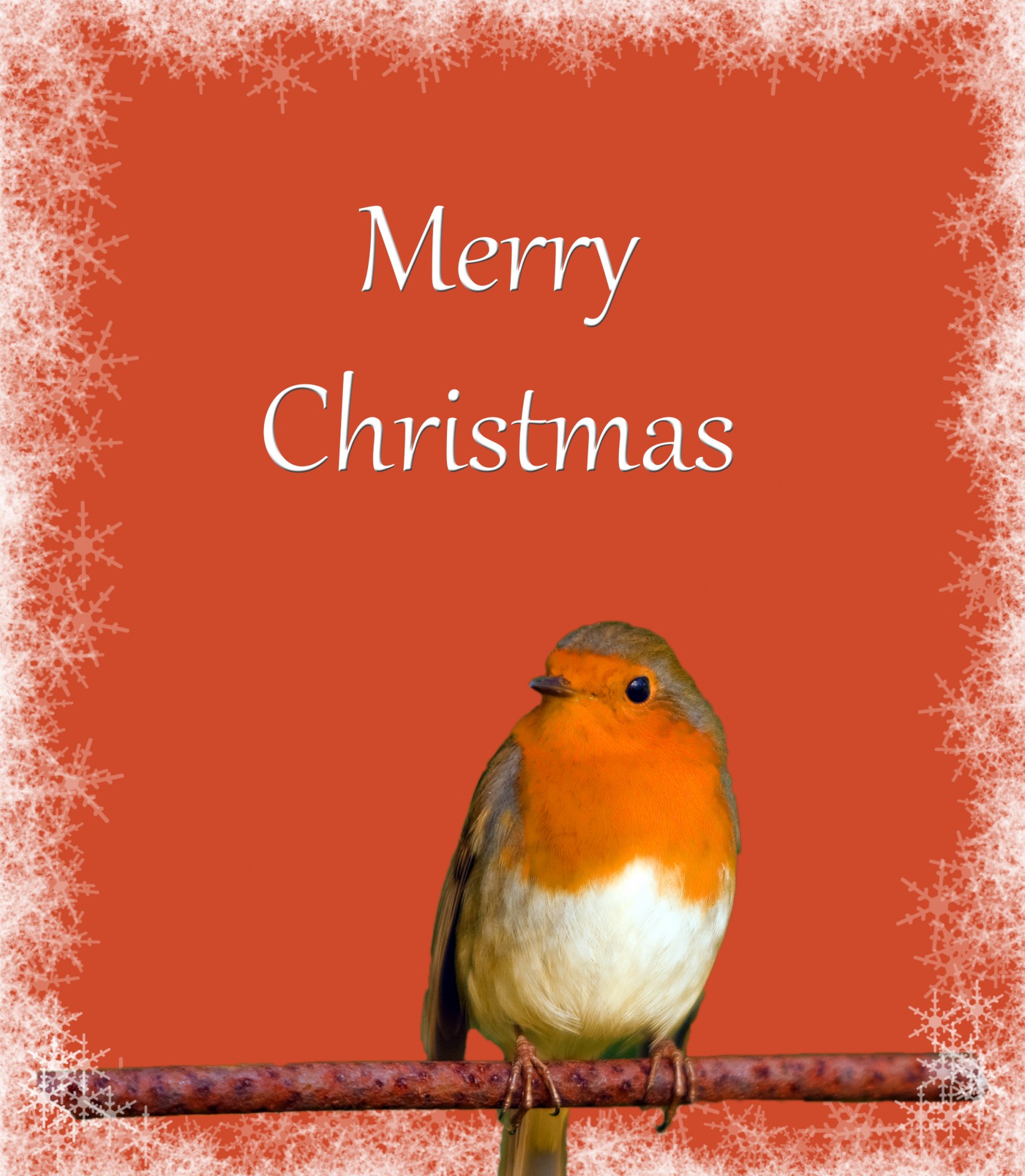 Christmas Card Robin Snowflakes