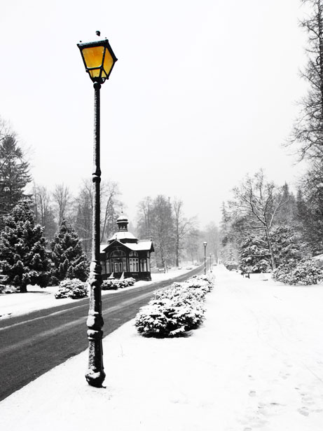 Street Lamp In Winter Free Stock Photo - Public Domain Pictures