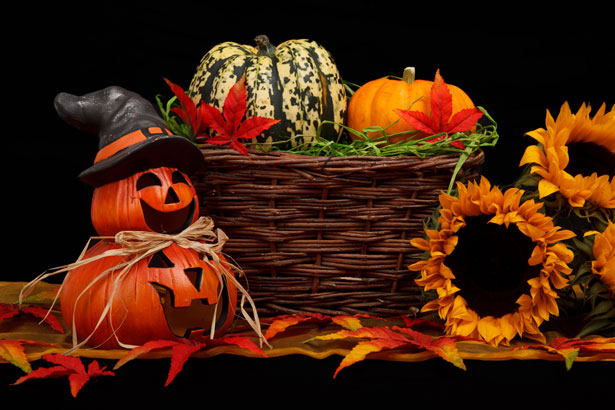 Scuro tema di Halloween Immagine gratis - Public Domain Pictures