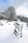 Cemetery In Winter