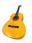 Acoustic Guitar