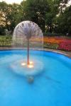 Dandelion Fountain
