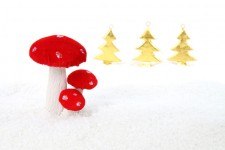 Christmas Mushroom