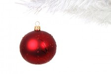 Red Bauble On Branch