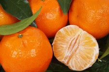 Peeled Mandarin