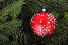 Red Bauble On Tree Branches