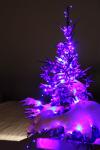 Purple Christmas Tree
