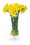 Daffodils In Vase