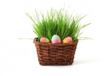 Easter Basket