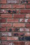 Distressed Red Brick Wall