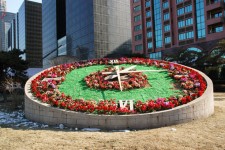 Floral Sundial