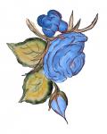 Blue Rose