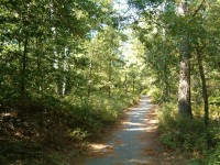 Virginia Trail