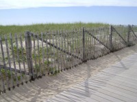 Dune Fence