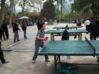 Ping Pong 1