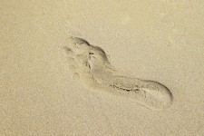 Footprint In Sand