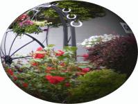 Garden In A Globe