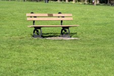 Bench In The Park