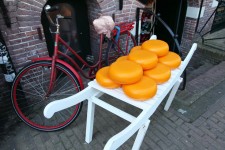 Bicycle And Cheese