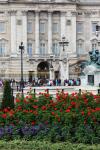 Buckingham Palace And Flowers