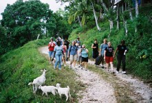 Hiking Jamaica