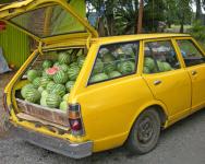 Melon Delivery