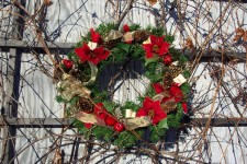 Red Cardinal Pointsetta Wreath