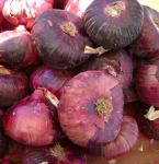 Red Onions 4