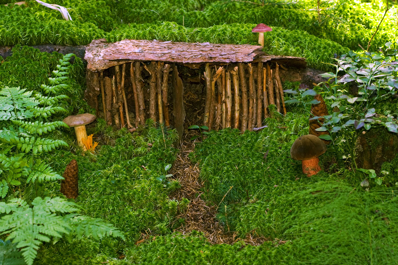 House For Dwarfs