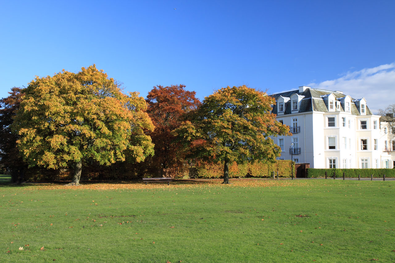 Park with trees and a house in autumn