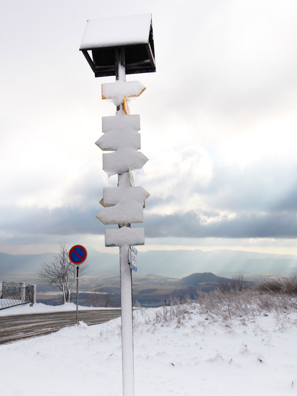 Signpost In Winter