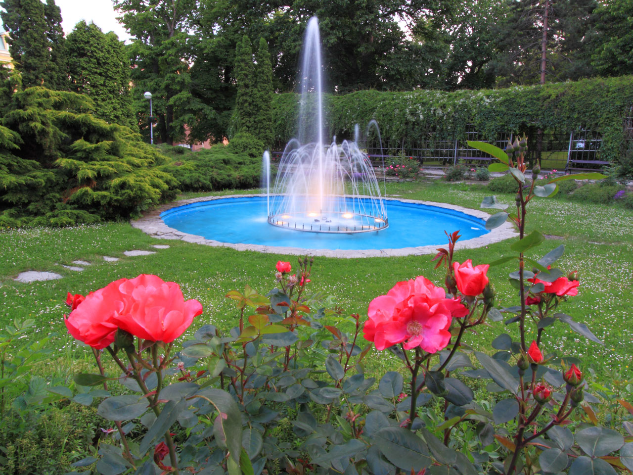 Flowers And Fountain