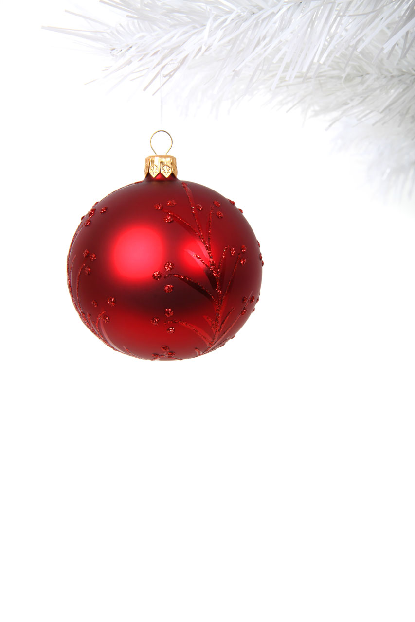 red bauble on white branch isolated on white background