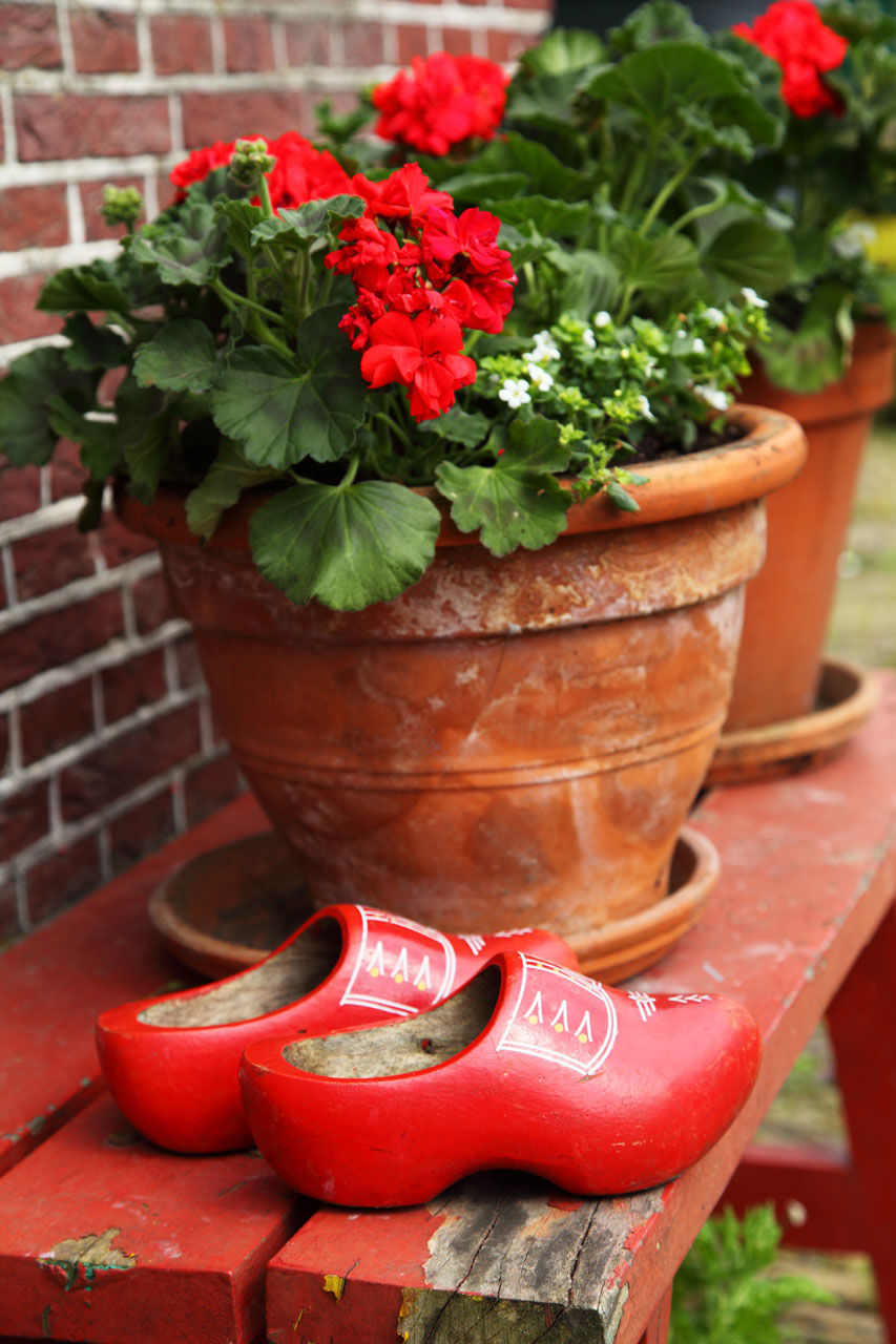 red clogs with flowers on bench