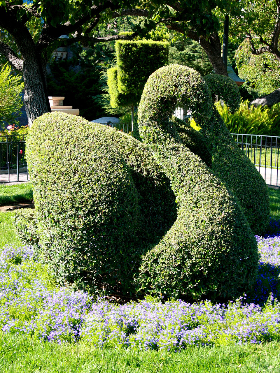 Topiary sculpture near Sleeping Beauty's Castle in Disneyland, Anaheim, CA